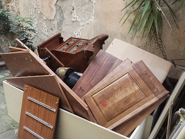 Yard Cleanup Services in La Puebla, NM
